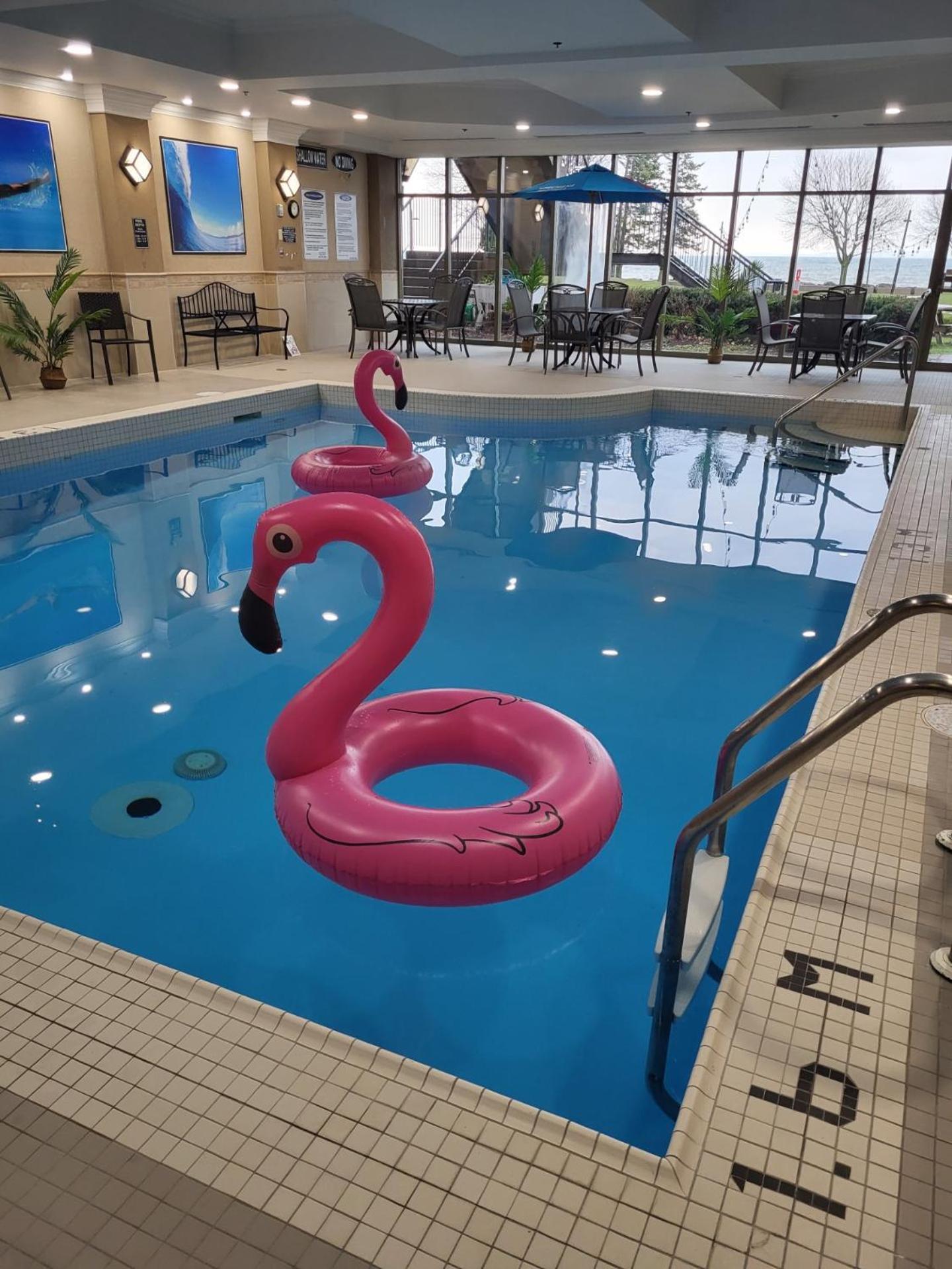 Waterfront Hotel Downtown Burlington Esterno foto
